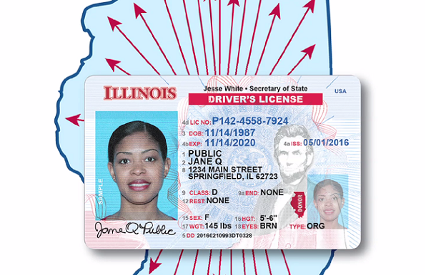 illinois drivers license d